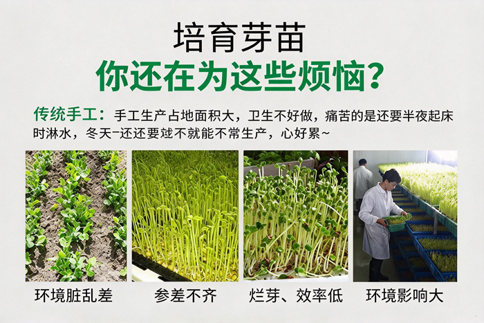传统芽苗培育存在的问题